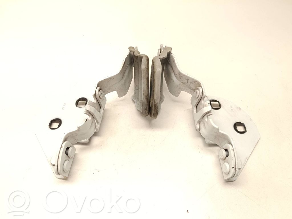 Tesla Model 3 Engine bonnet/hood hinges 