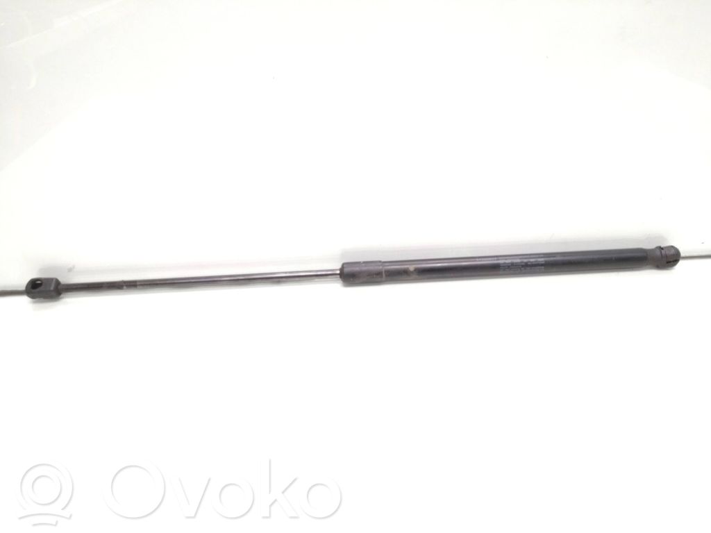 Tailgate/trunk strut/damper   31395607