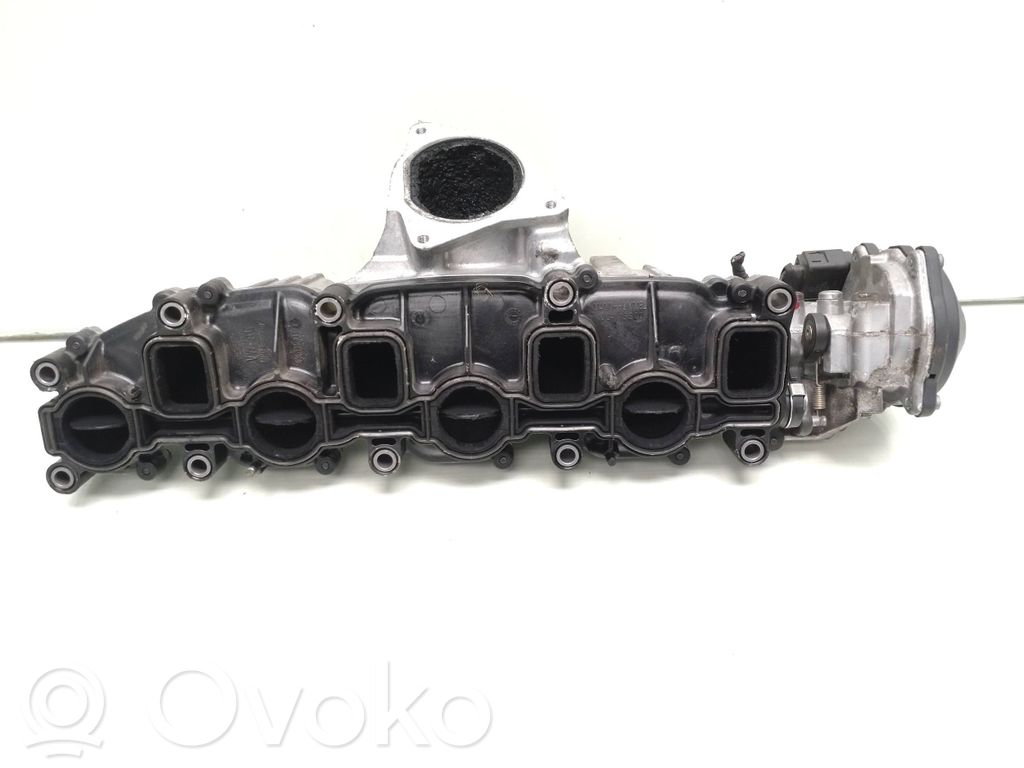 Volkswagen Tiguan Colector de admisión 
