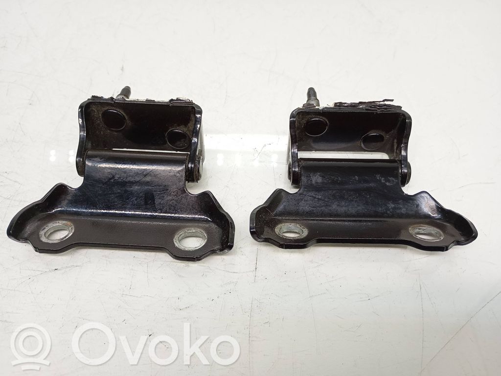 Tailgate/trunk/boot hinge