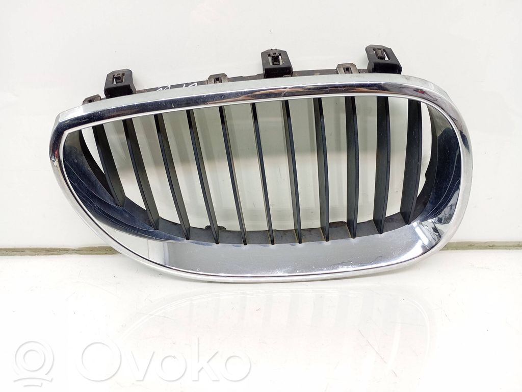 Front grill   7027062,51137027062