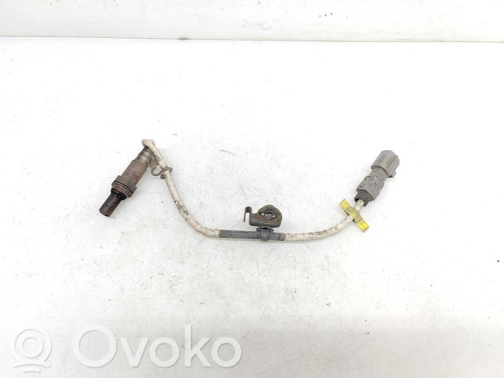 Sonda lambda
