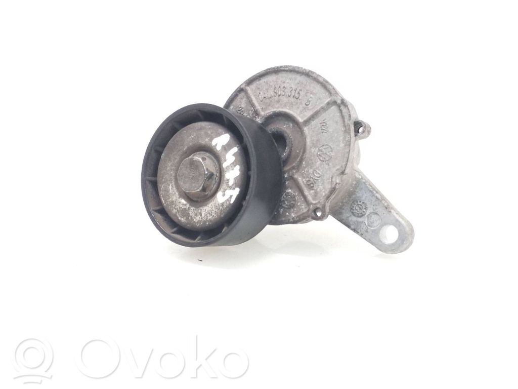 Skoda Octavia Mk3 (5E) Tensor de la correa del alternador 