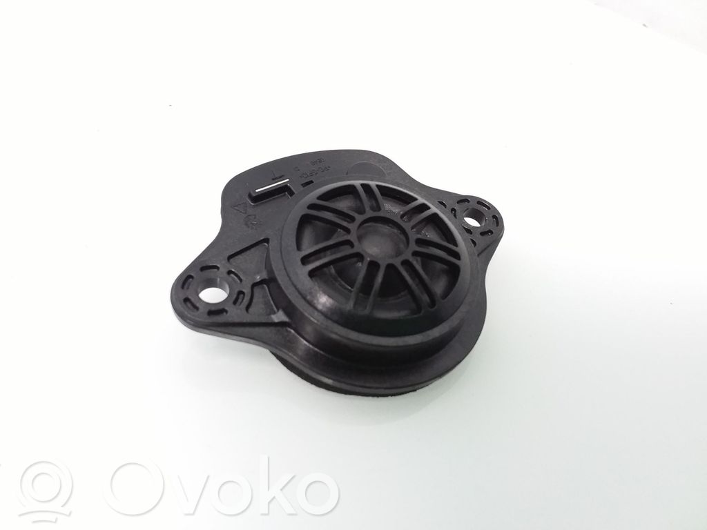 Tesla Model 3 Panel speaker 