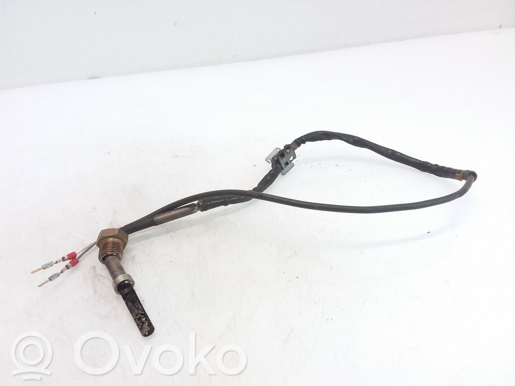 Volkswagen Tiguan Išmetamųjų dujų temperatūros daviklis 