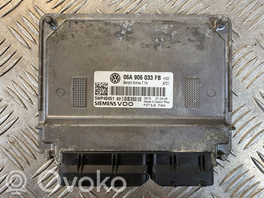 Skoda Octavia Mk2 (1Z) Engine control unit/module 