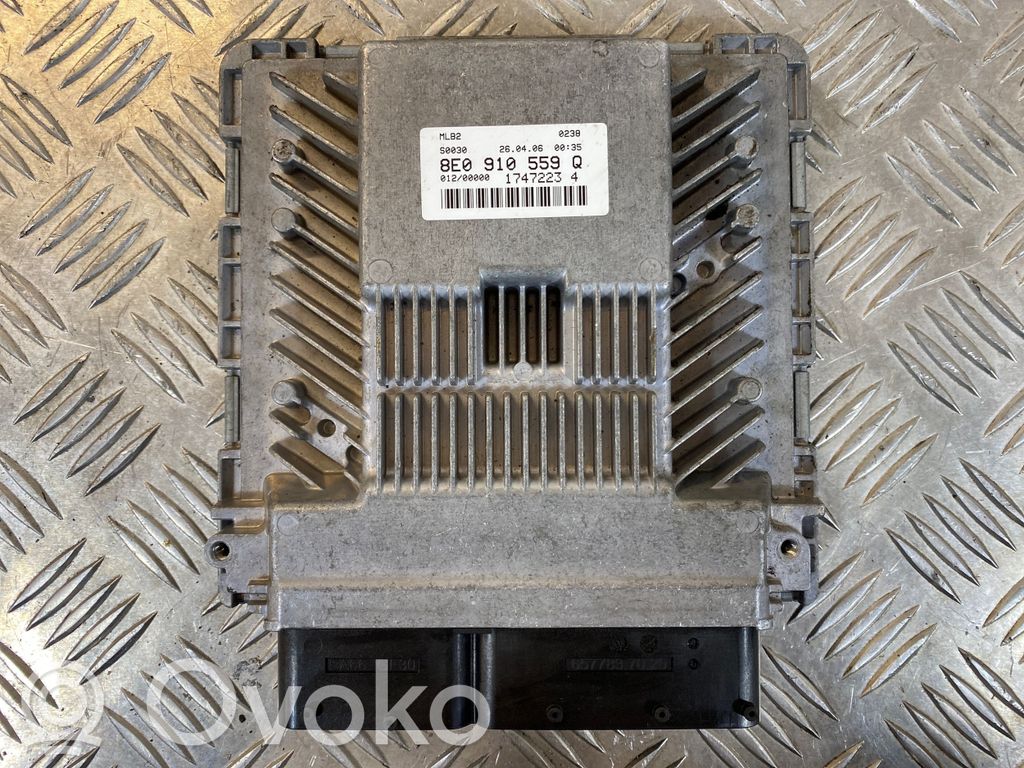 Audi A4 S4 B7 8E 8H Engine control unit/module 