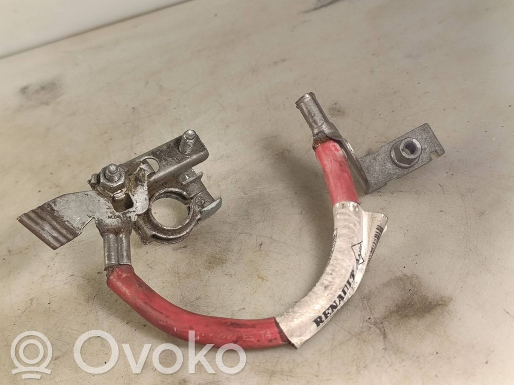 Plus / Klema / Przewód akumulatora   243860002R