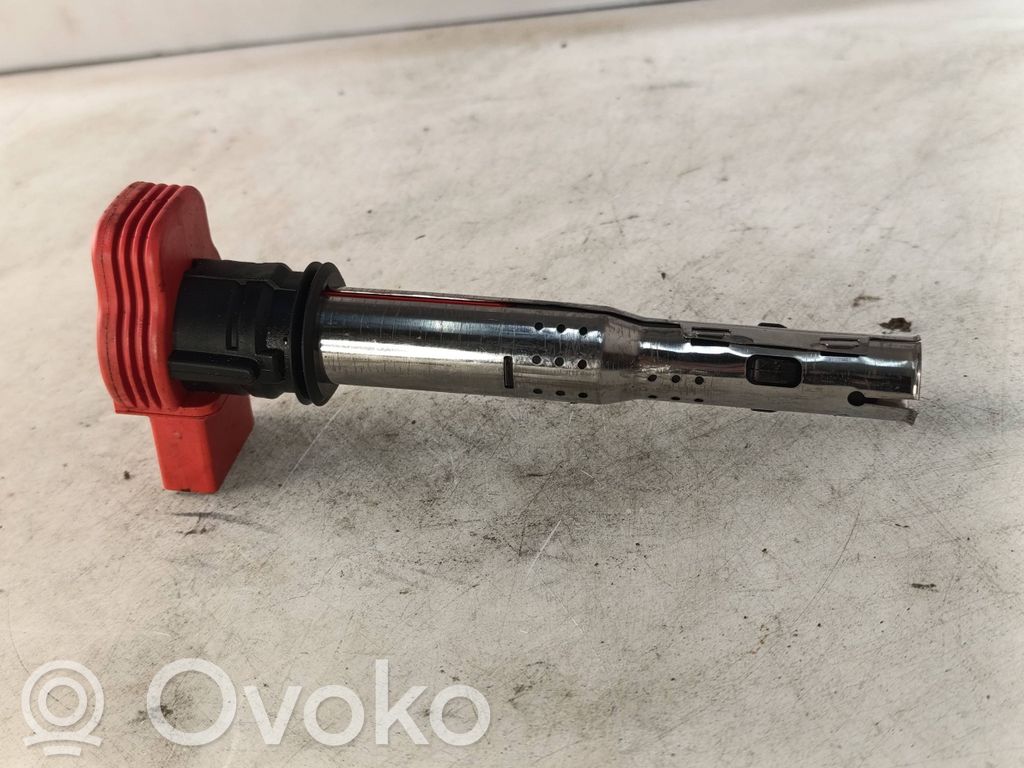 Audi A4 S4 B7 8E 8H Zündspule Zündmodul 