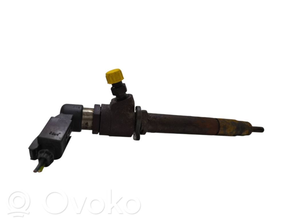 Peugeot 407 Fuel injector 