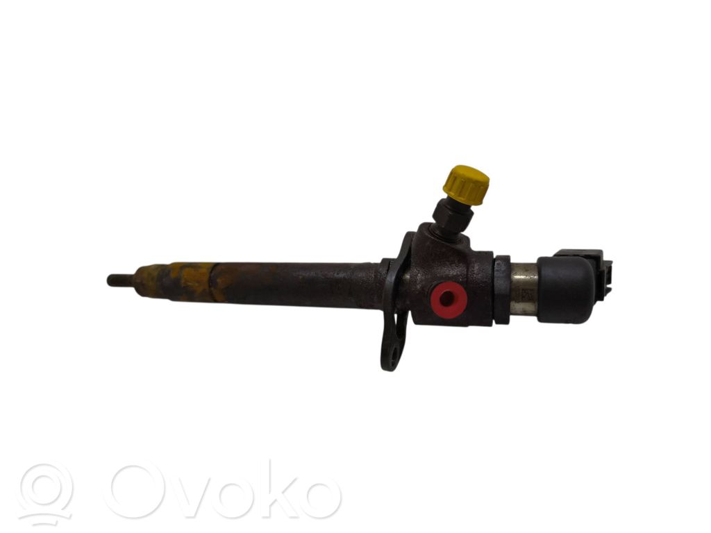 Peugeot 407 Fuel injector 
