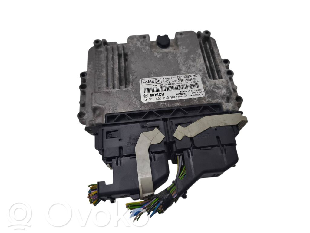 Ford Focus Engine control unit/module 