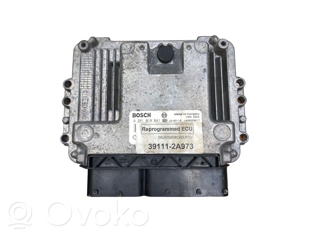 Engine control unit/module   391112A973,0281018641,1039S58817