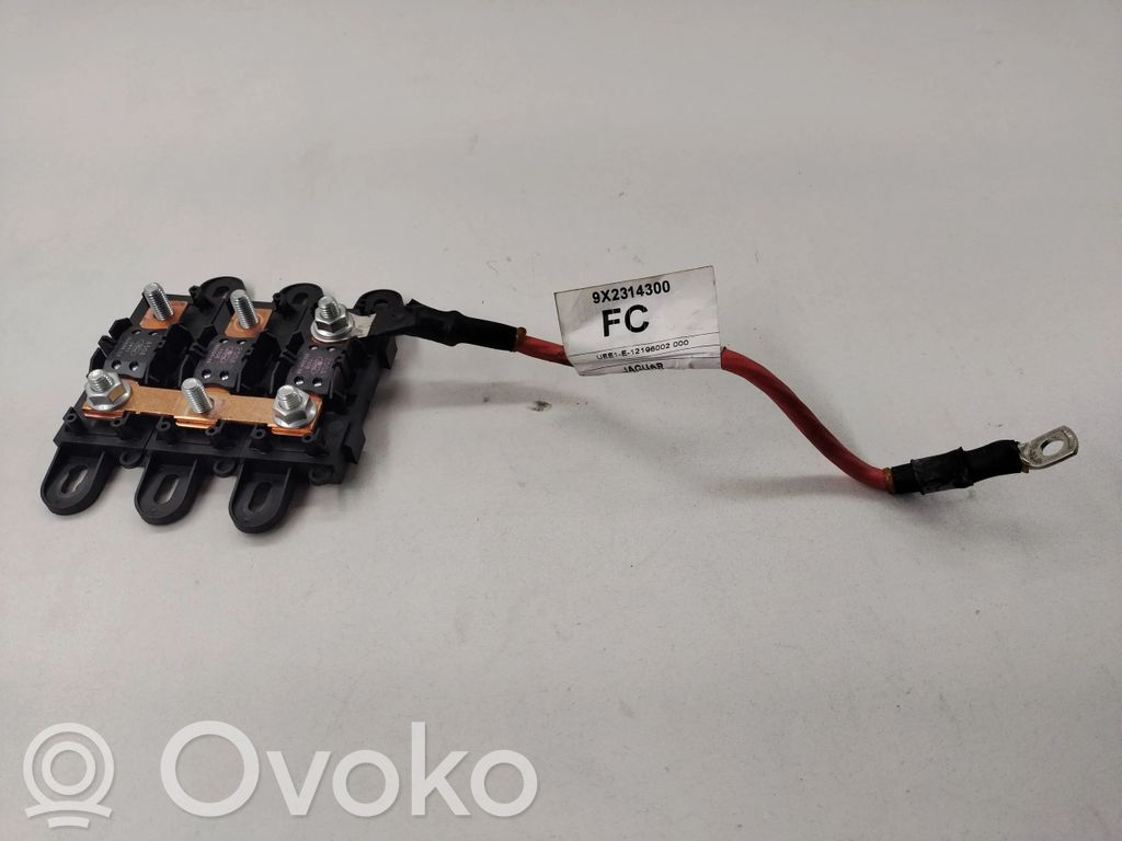Jaguar XF X250 Cable positivo (batería) 