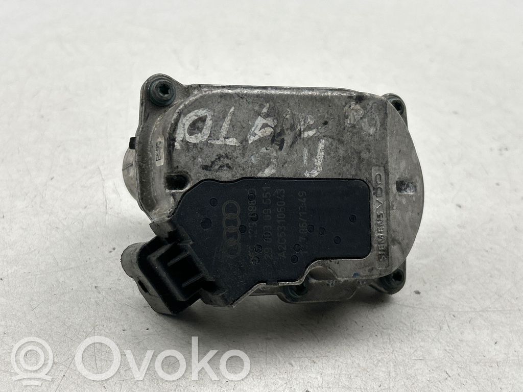 Zawór kolektora ssącego   A2C53106043
