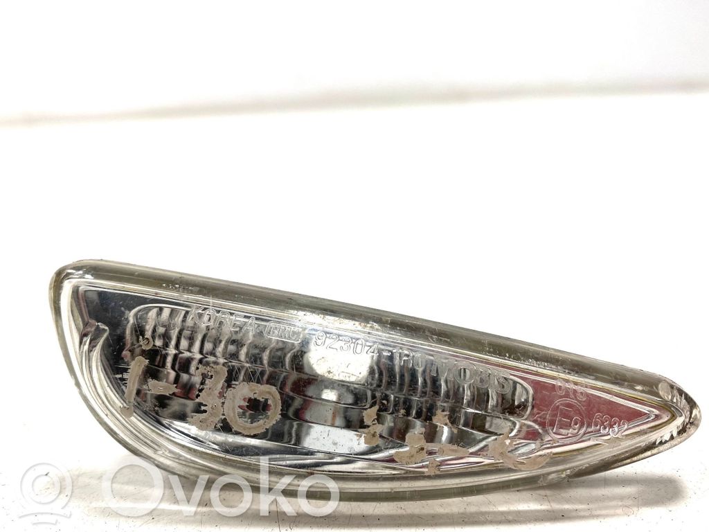 Hyundai i30 Seitenblinker 