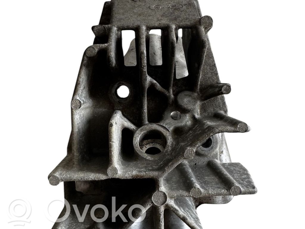 Renault Clio III Fuel Injector clamp holder 