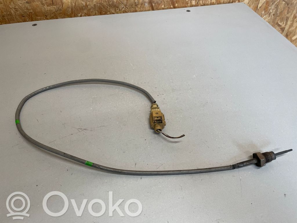Volkswagen Tiguan Išmetamųjų dujų temperatūros daviklis 