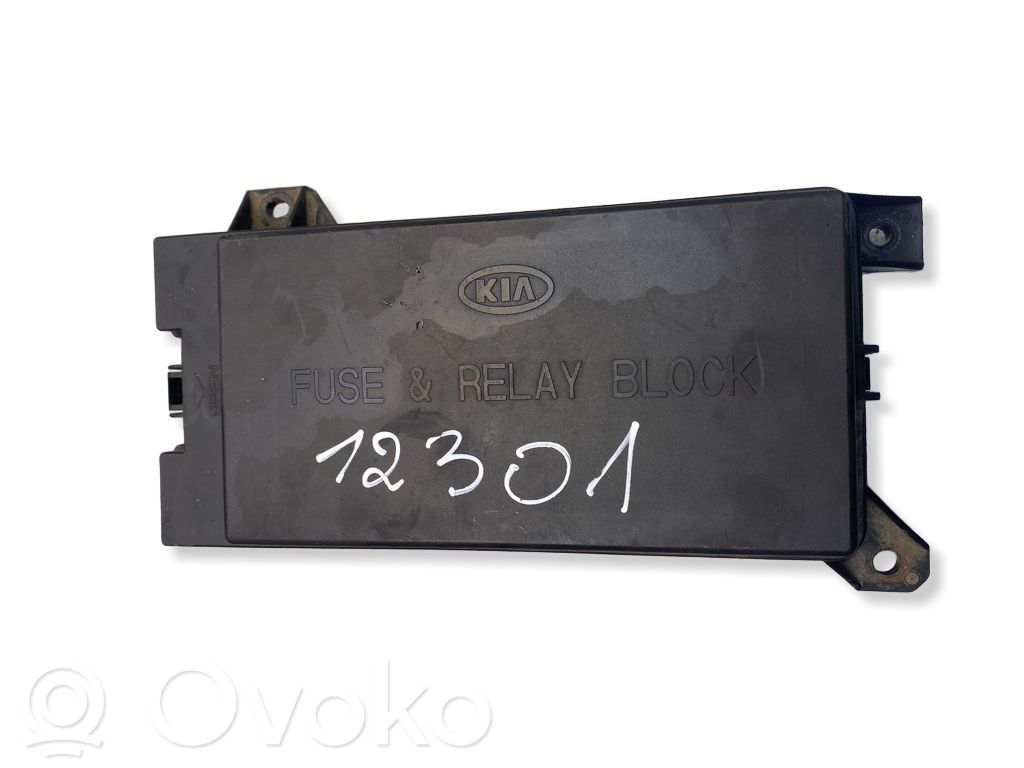 KIA Sorento Fuse module 