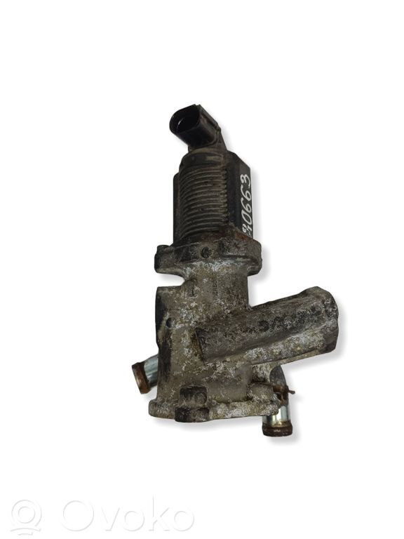 Fiat Punto (199) EGR valve 