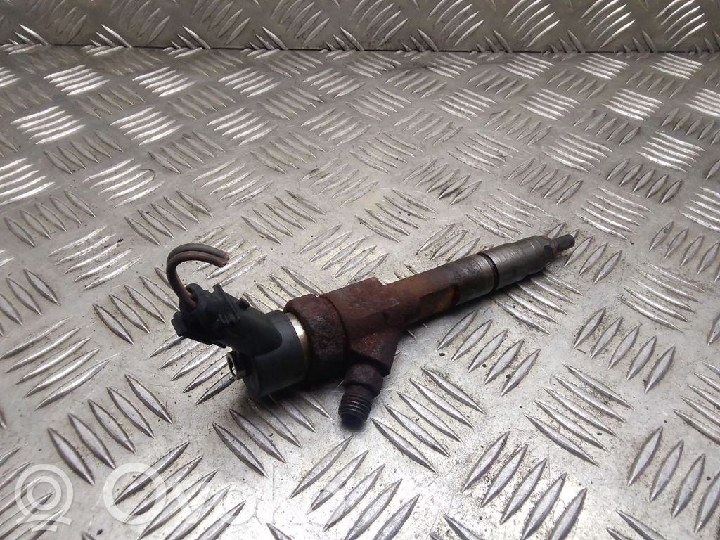 Renault Megane II Fuel injector 
