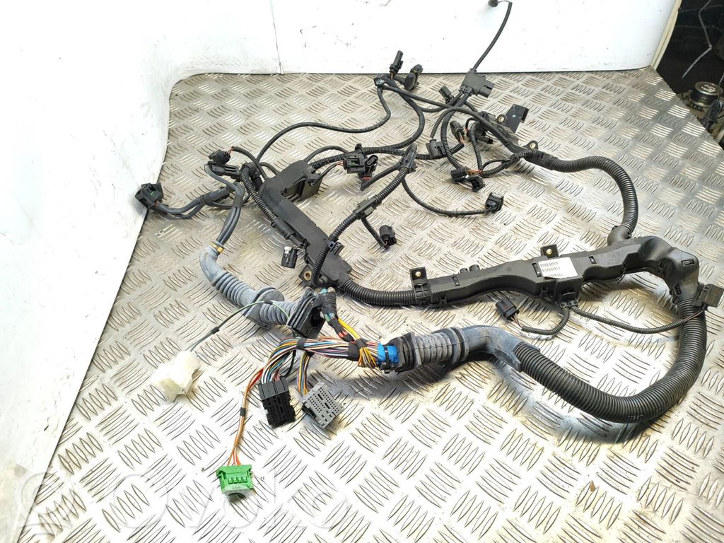 Engine installation wiring loom   7809174,038050506C,FA00379824