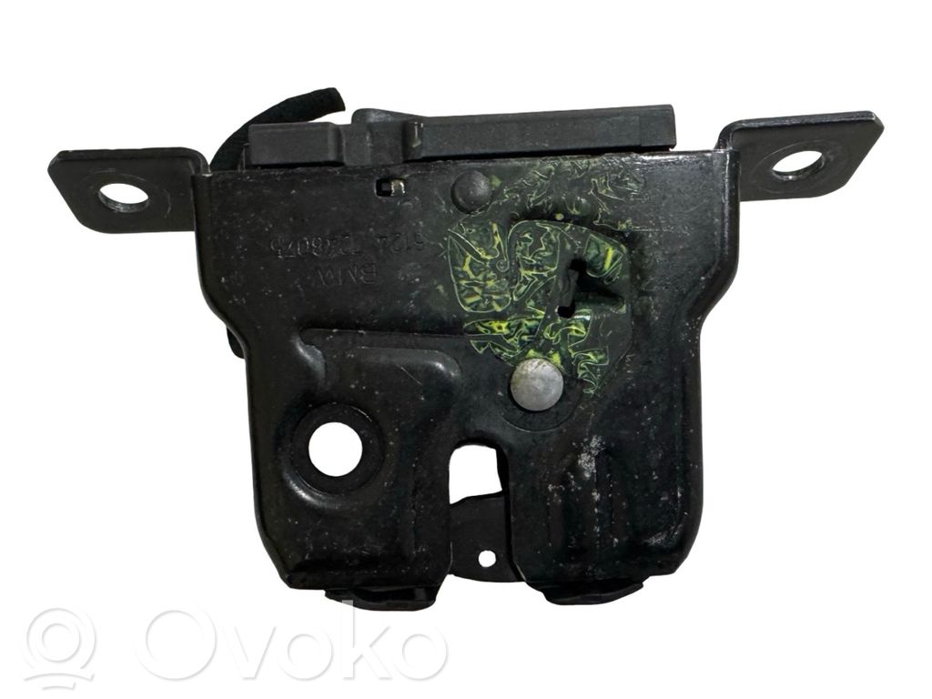 BMW i3 Tailgate/trunk/boot lock/catch/latch 