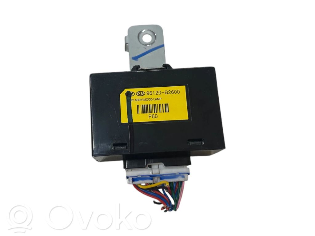 Autres unités de commande / modules   96120B2600
