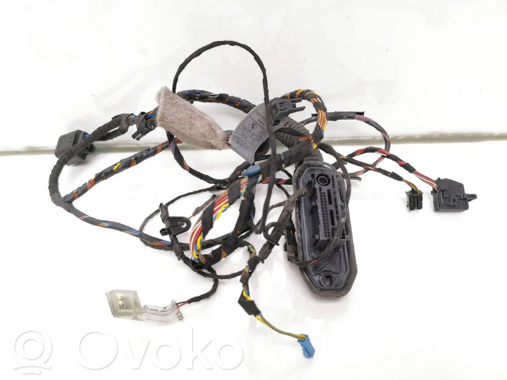 BMW X5 E70 Priekšējo durvju vadu instalācija 