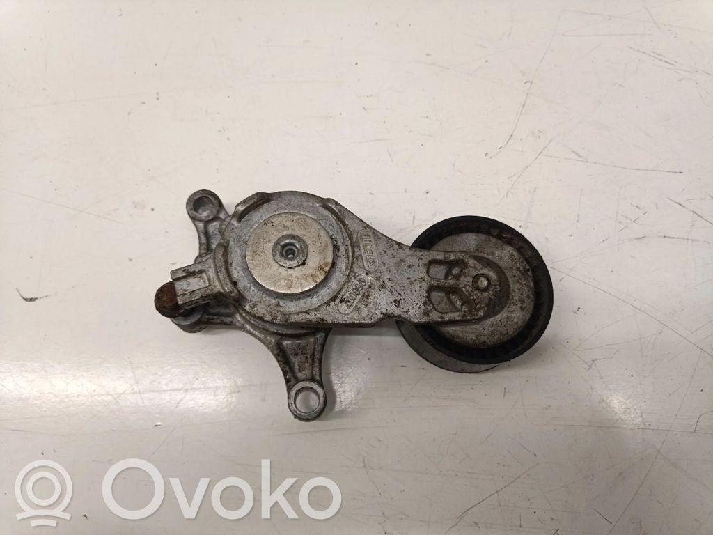 Tendicinghia generatore/alternatore
