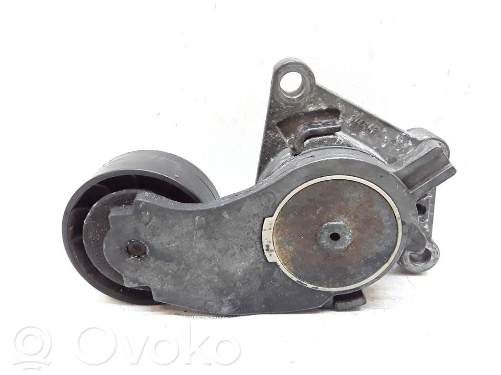 Tendicinghia generatore/alternatore