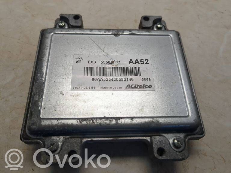 Sterownik / Moduł ECU   12636386,86AA525430580146,55583737