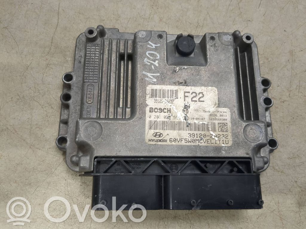 Engine control unit/module   391252A232,0281030596
