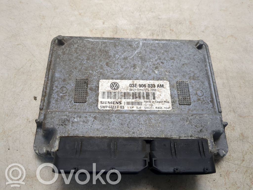Seat Ibiza III (6L) Engine control unit/module 