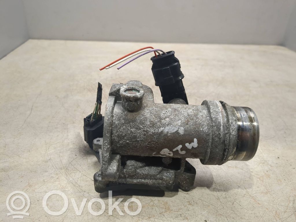 Dacia Duster Throttle body valve 