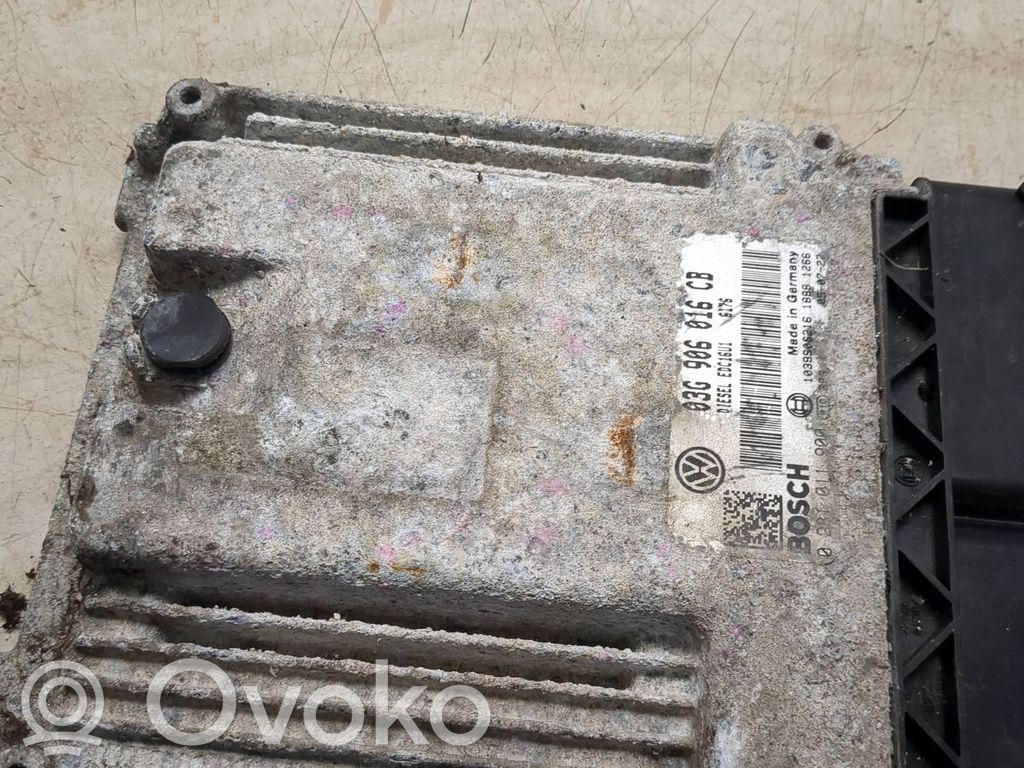 Volkswagen Touran I Engine control unit/module 