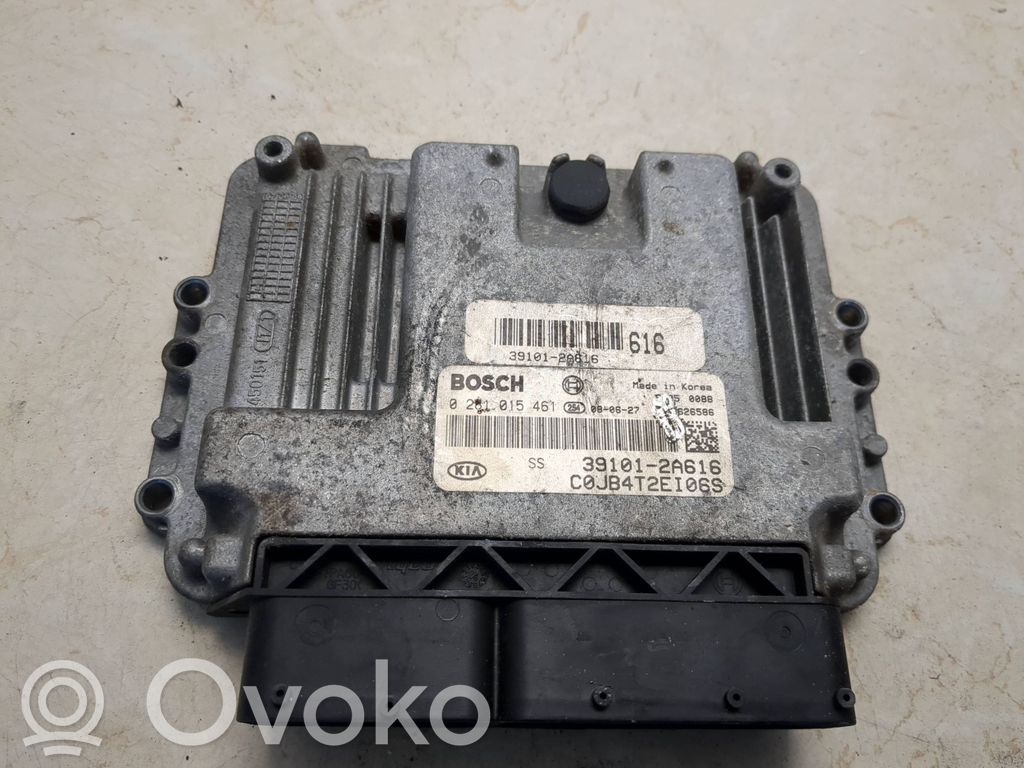 KIA Rio Engine control unit/module 