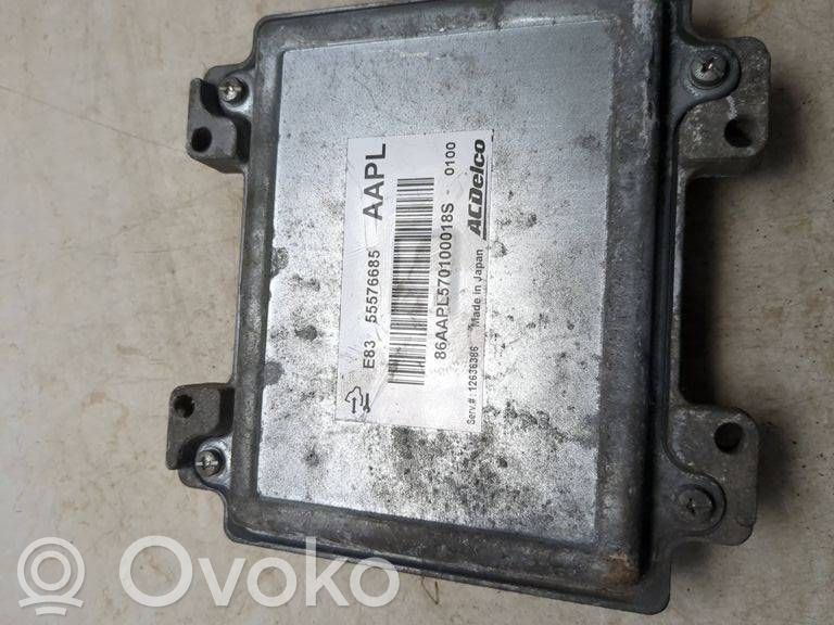 Engine control unit/module   55576685,12636386,86AAPL570100018S