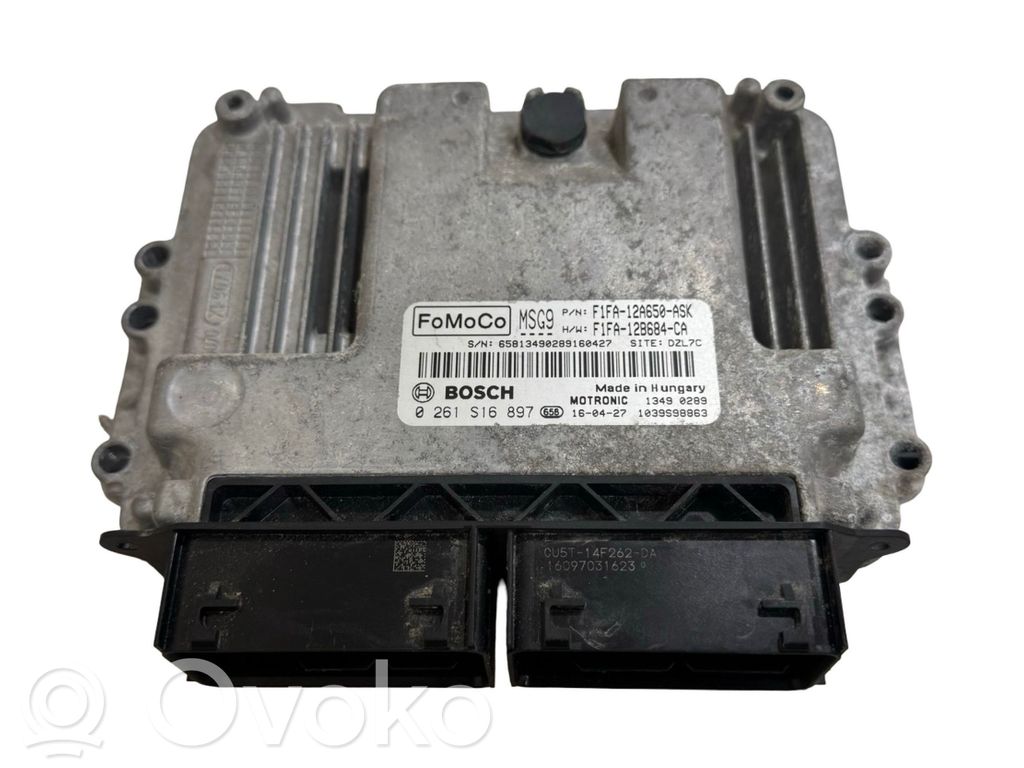 Ford Focus Engine control unit/module 