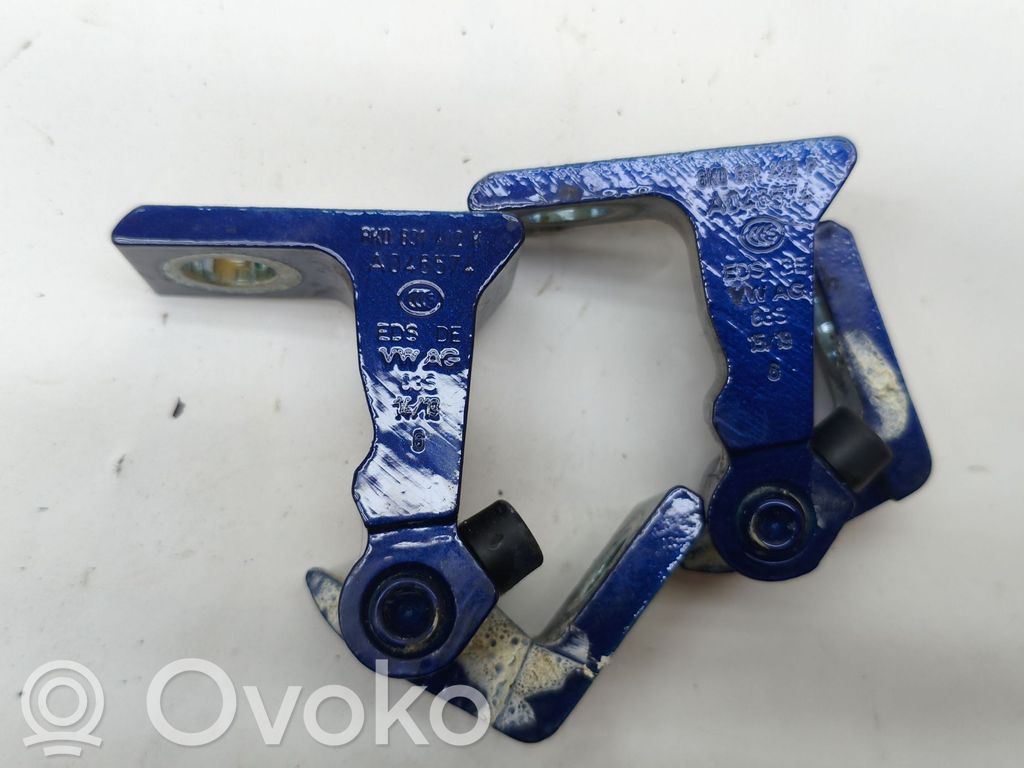 Volkswagen Golf VII Rear door hinge set 