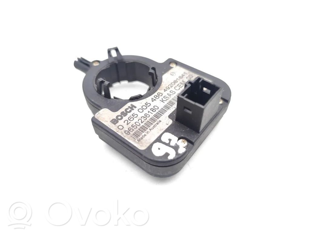 Citroen C4 I Vairo padėties (kampo) daviklis 