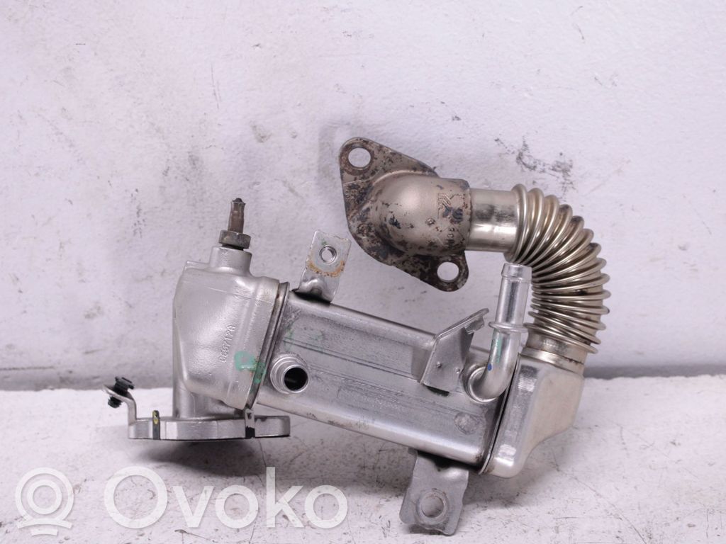Nissan Qashqai Valvola di raffreddamento EGR 