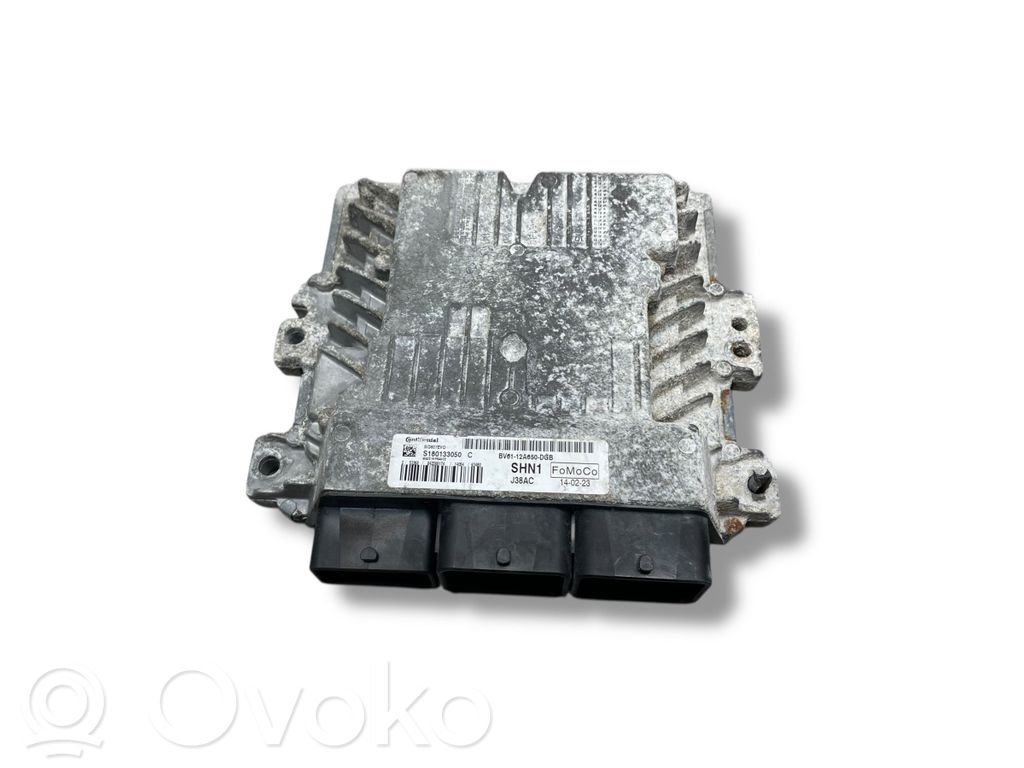 Ford Focus Engine control unit/module 
