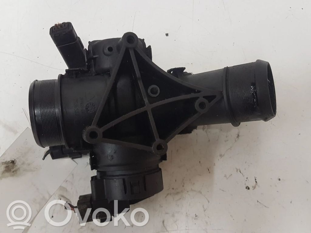 Citroen Berlingo Throttle valve 