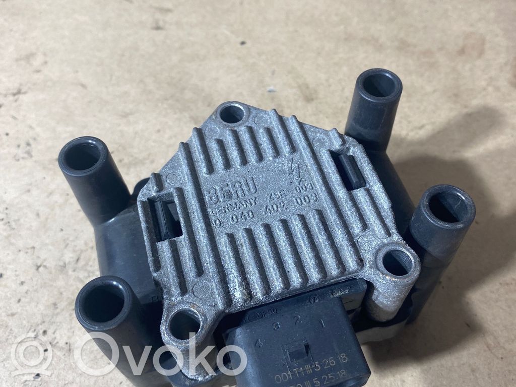 Volkswagen PASSAT B6 Aukštos įtampos ritė "babyna" 