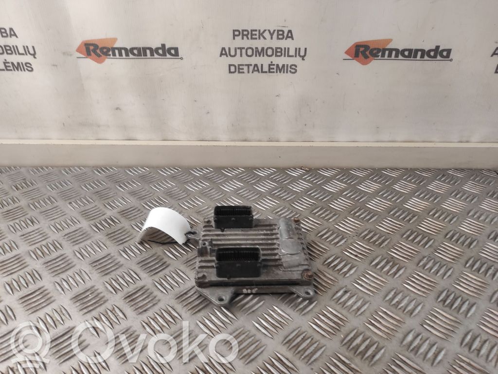 Opel Signum Engine control unit/module 