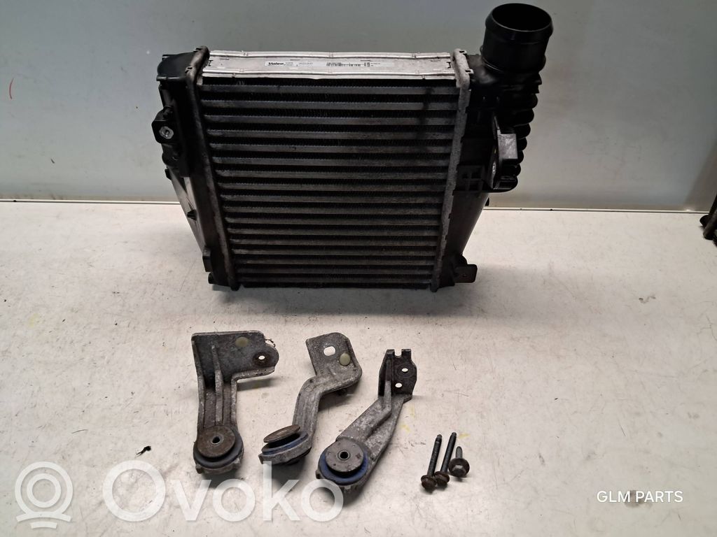 Peugeot 308 Intercooler radiator 