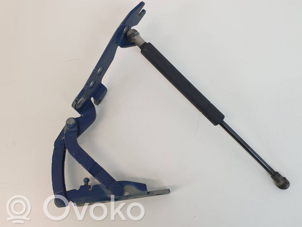 BMW X5 E53 Dzinēja pārsega eņģe (-es) 