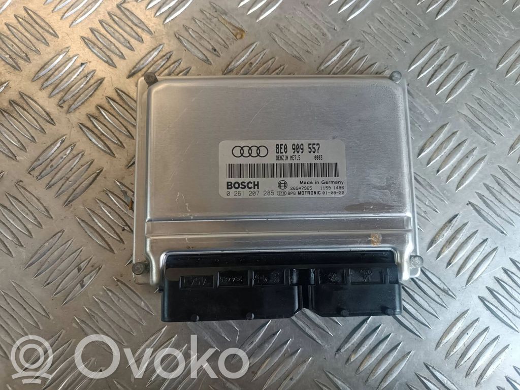 Audi A4 S4 B6 8E 8H Sterownik / Moduł ECU 