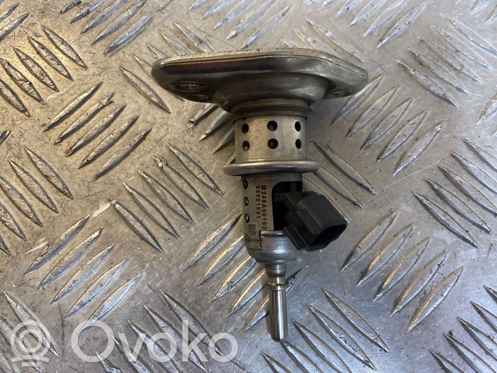 Inyector de AdBlue   55501991,M246A00192